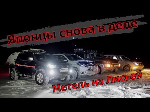 Видео: Метель на Лисьей! Японцы снова в деле... ПерекатиКольский