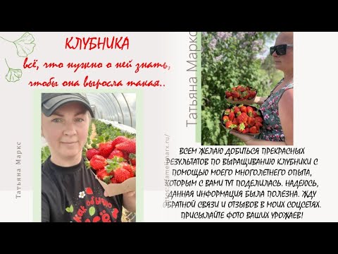 Видео: Руководство по выращиванию клубники уже в продаже, всего за 350 рублей.