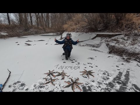 Видео: Жадные окуни ломают и отрывают мормышки.