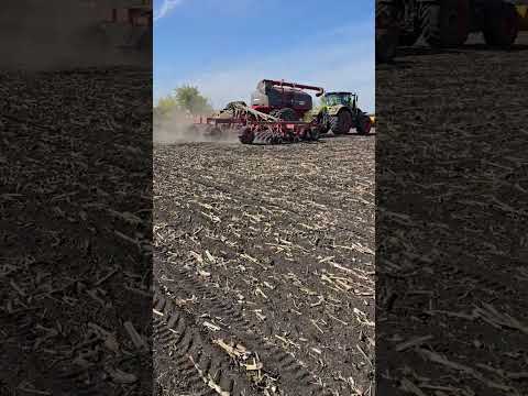 Видео: 28 сентября 2025 г.