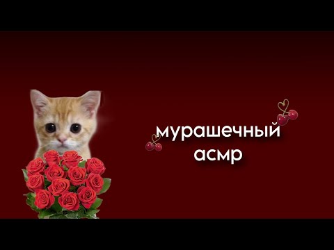 Видео: МУРАШЕЧНЫЙ АСМР♥️