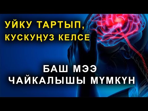 Видео: БАШ МЭЭНИН ЖАБЫРКООСУ ДЕГЕН ЭМНЕ?  /  ПУЛЬС