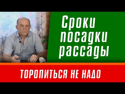 Видео: Когда сажать рассаду.  Ошибки при посадке рассады