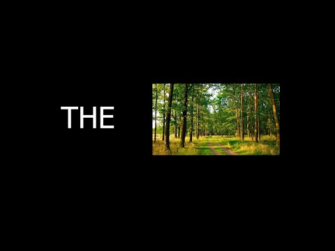 Видео: НЕРЕАЛЬНЫЙ СИМУЛЯТОР ПУТЕШЕСТВИЯ В НИЖНИЙ ТАГИЛ! ✅THE FOREST✅обзор, прохождение, финал🫢