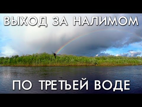 Видео: ВЫХОД ЗА НАЛИМОМ НА ТАЕЖНУЮ РЕКУ ВО ВРЕМЯ ПАДЕНИЯ ТРЕТЬЕЙ ВОДЫ