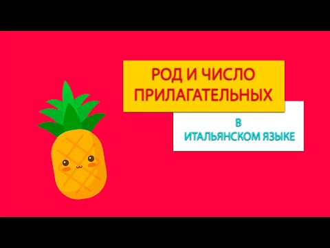 Видео: Род и число прилагательных в итальянском языке