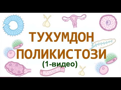 Видео: ТУХУМДОН ПОЛИКИСТОЗИ (1-видео)
