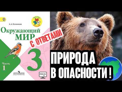 Видео: Окружающий мир 3 класс. Природа в опасности! С ответами, стр 29