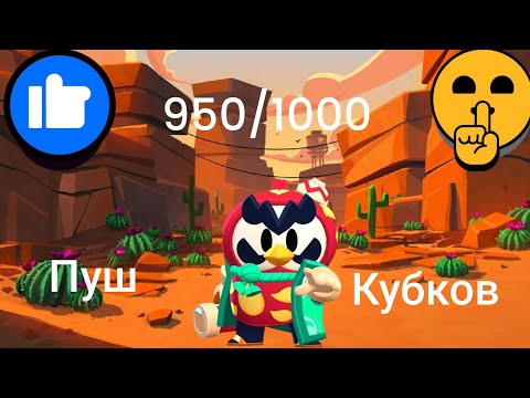 Видео: Пушу 1000 кубков и 65.000 в brawl stars часть 2