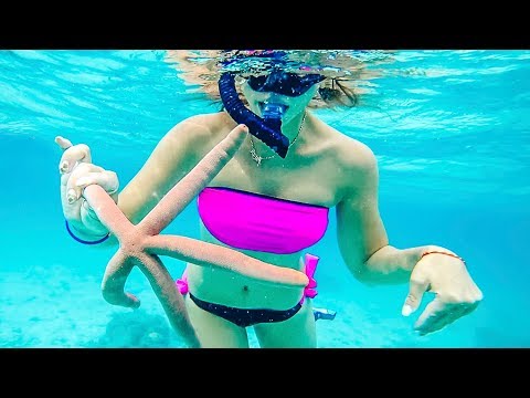 Видео: 24 часа вдвоем на острове Сурин. Ужасная ночь в палатке. Таиланд, Пхукет