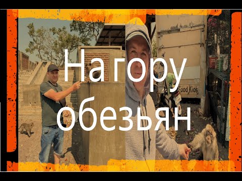 Видео: На гору обезьян (Khao Sam Muk)