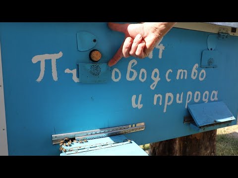 Видео: Зачем закрывать верхние летки | Подготовка к зимовке