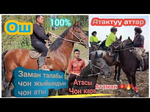 Видео: Заман талабы чон жыйындын чон аты