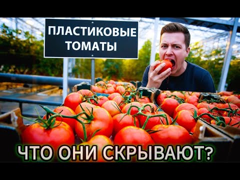 Видео: Томатное предательство или почему томаты в магазинах - пустышки?