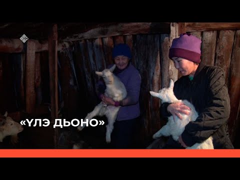 Видео: «Үлэ дьоно» (19.02.23)