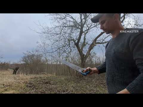 Видео: Омоложування-обрізка зарослого горіха!