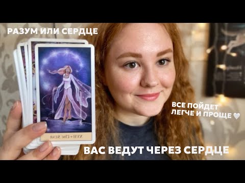 Видео: это видео найдёт тебя само 🎐 таро терапия
