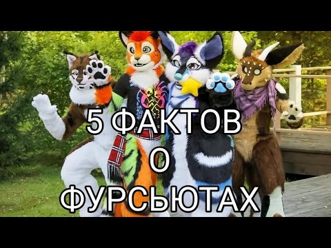 Видео: 5 ИНТЕРЕСНЫХ ФАКТОВ О ФУРСЬЮТАХ 🐾