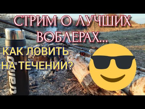 Видео: Стрим о лучших воблерах / как ловить на течении / розыгрыш.