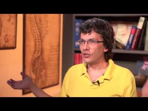 Видео: Авторская программа «Медицина в контексте». Тема: «Эволюция альтруизма».  Гость — Александр Марков.