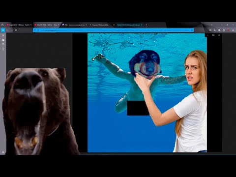 Видео: Dawg Слушает Песни с Конкурса @DmitriyPoot