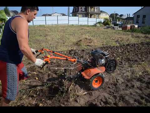 Видео: Компаем картошку мотоблоком Patriot Vegas 7 видео 13