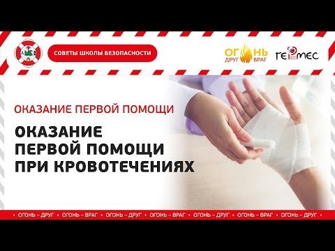Видео: Мастер-класс «Оказание первой помощи при кровотечениях» (12+)