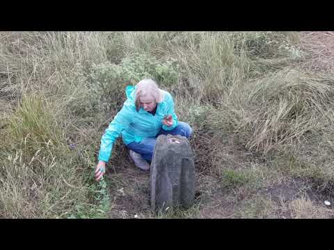 Видео: Место Силы Шаманская гора