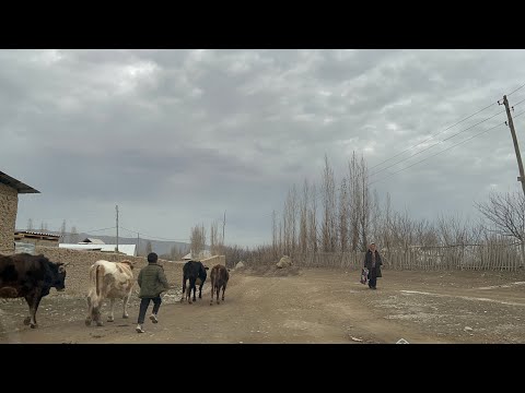 Видео: Баткен Кара Бак(Каут) айылы 2022 жыл