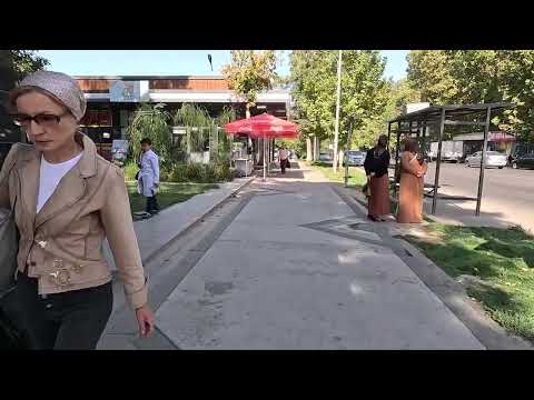 Видео: Ташкент, Чиланзар, 8 квартал, дом 16