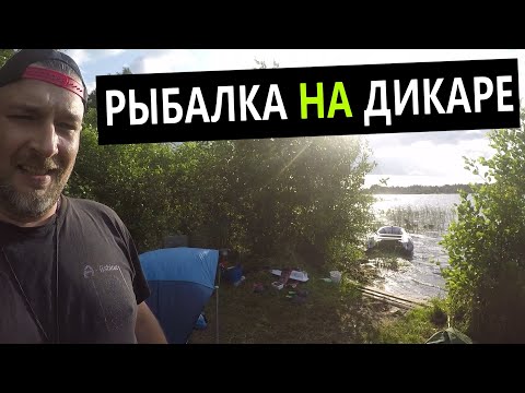 Видео: рыбалка на дикаре ( ловля карпа на бойлы ) карпфишинг в лесу на красивом озере.