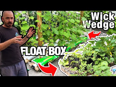 Видео: Обновление гидропонной системы Float Box & Wick Wedge