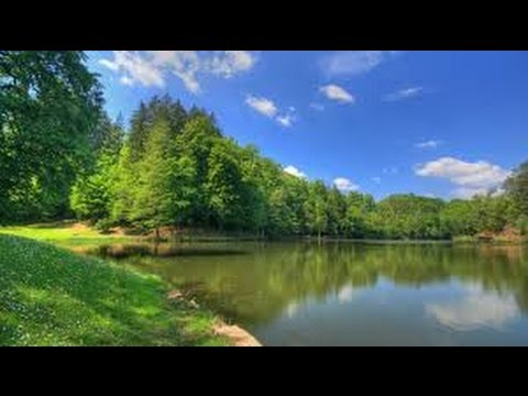 Видео: Хочи Мирзо-ам-181 Чаннат