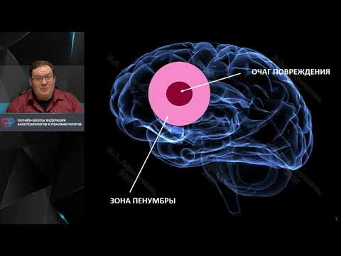 Видео: Фармакологическая церебропротекция В.С.Афончиков