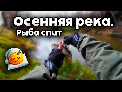 Видео: 🍂Осенний ОКУНЬ на МИКРОДЖИГ🍂