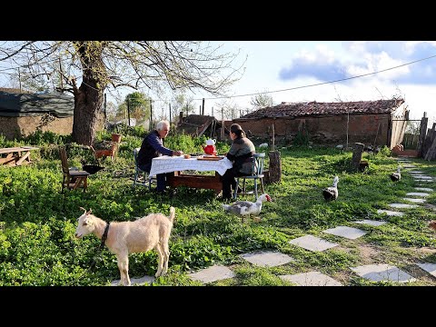 Видео: Трудная, но счастливая жизнь супружеской пары в отдалённой деревне, вдали от цивилизации