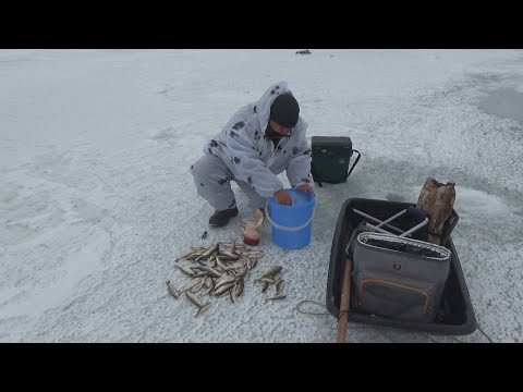 Видео: Елец Атакует/оз Сартлан/Бойкий Весенний Елец/Засолил Рыбу на Льду