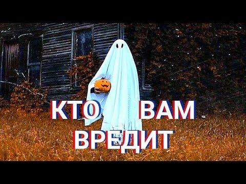 Видео: КТО  ВАМ   ВРЕДИТ