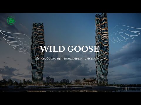 Видео: Проект "Wild Goose". Первая презентация на Бизнес-ужине в Дубае.