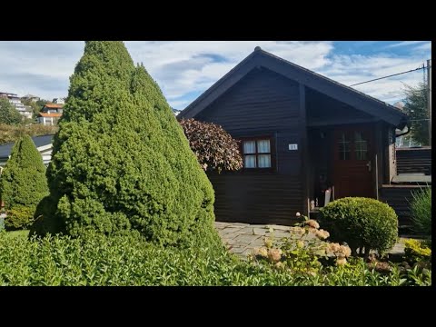 Видео: Как норвежцы ухаживают за дачами🇧🇻Что садят📌