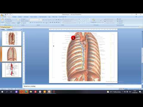 Видео: кеуделік қолқа