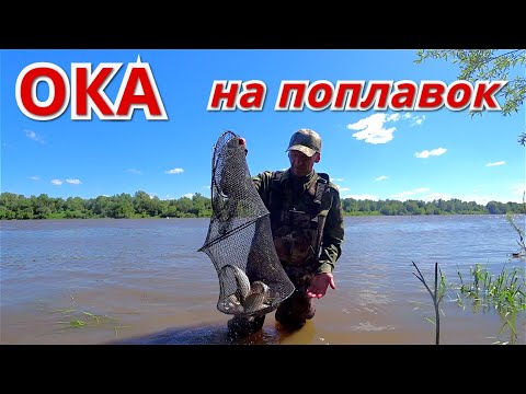 Видео: Опарыш рулит. Рыбалка на Оке в начале июня 2021.