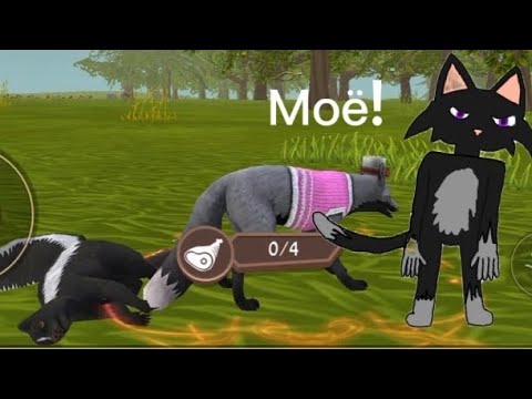 Видео: Типы игроков в wildcraft