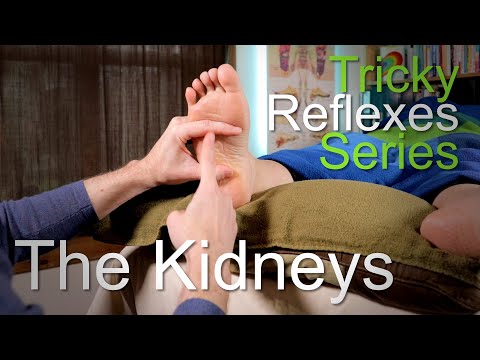 Видео: Как найти почки (Серия «Трудные рефлексы» — Часть 4)