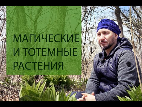 Видео: Парфюмерные дневники Ясина Анвари. Магические и тотемные растения.