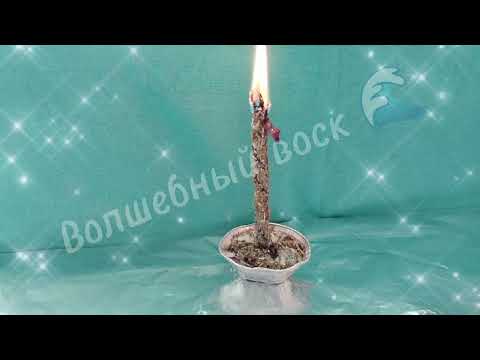 Видео: Волеизъявление на самореализацию #отжигнегатива  #волеизъявлениедуши #ведьма #лучшее #магия #защита