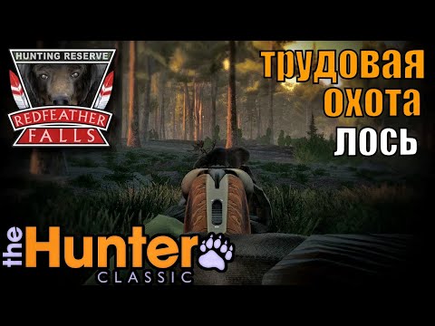 Видео: Такой Охоты На Лося Ты Ещё Не Видел The Hunter Classic