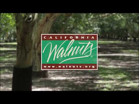 Видео: Технологии выращивания грецкого ореха в Калифорнии