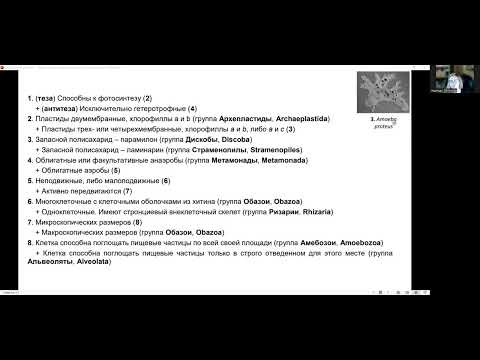 Видео: Определение групп организмов. Всесибирская олимпиада по биологии. 1-й этап. 10-11 класс. 2023-24 гг