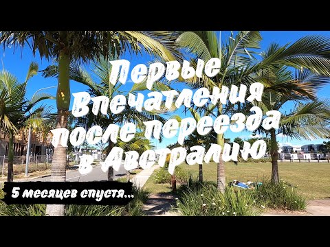Видео: Наши ПЕРВЫЕ ВПЕЧАТЛЕНИЯ после Переезда в АВСТРАЛИЮ. Ожидание против Реальности